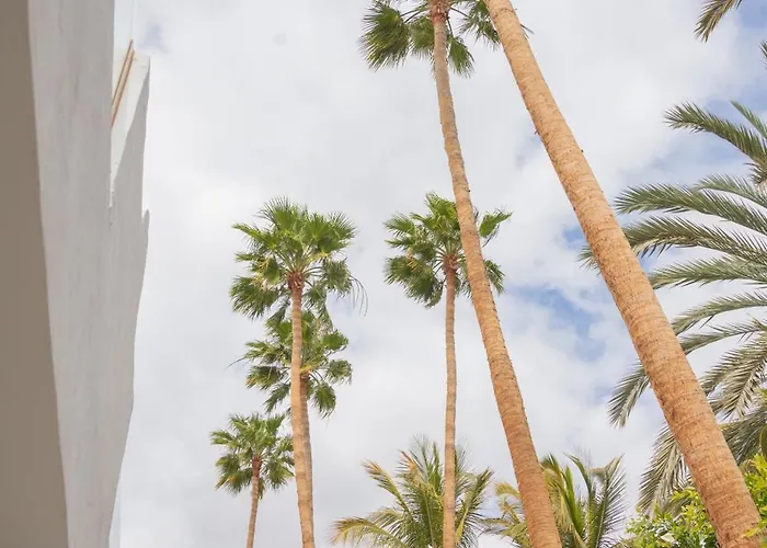 شقة Palm Fuerteventura *