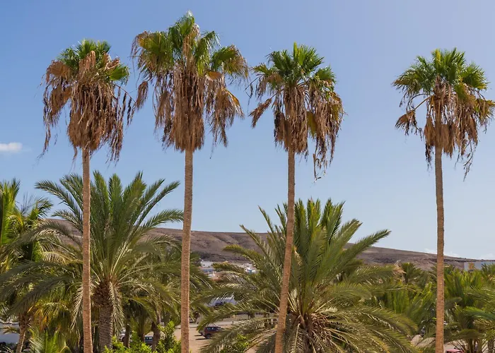 Palm Fuerteventura تاراخاليخو