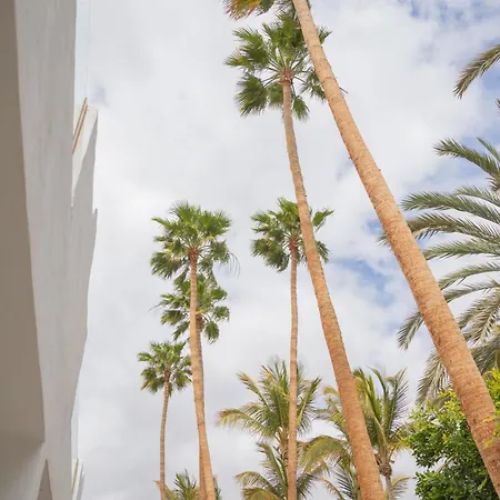 아파트 Palm Fuerteventura *