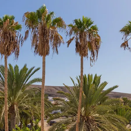Palm Fuerteventura Tarajalejo