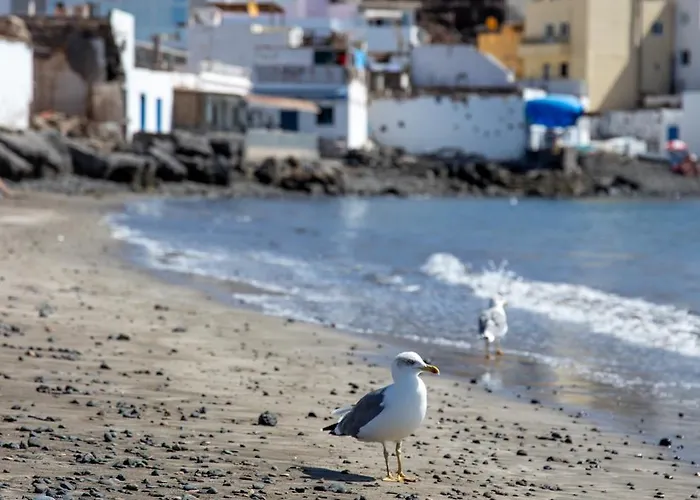 Palm Fuerteventura *