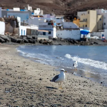 Palm Fuerteventura *